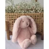 Bonnie the Bunny