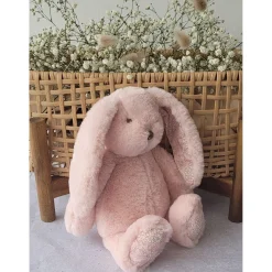 Bonnie the Bunny