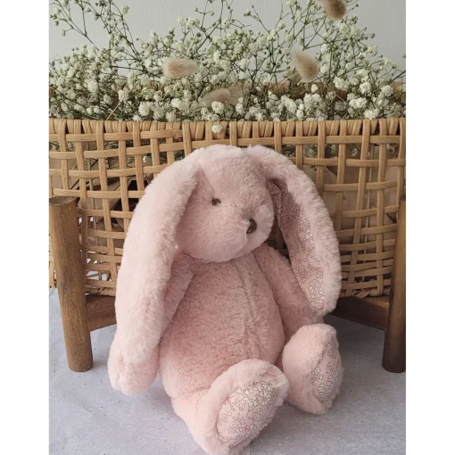 Bonnie the Bunny