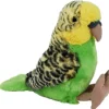 Budgerigar with Sound