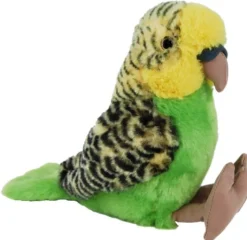 Budgerigar with Sound