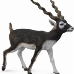 CollectA | Blackbuck (L)