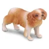 CollectA | Cavalier King Charles (M)