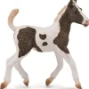 CollectA | Curly Horse Foal (M)