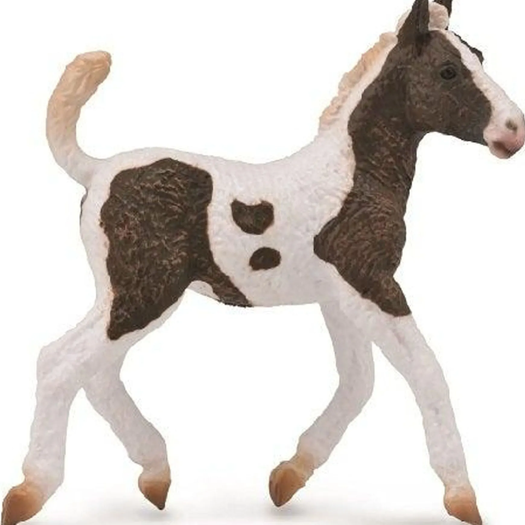 CollectA | Curly Horse Foal (M)