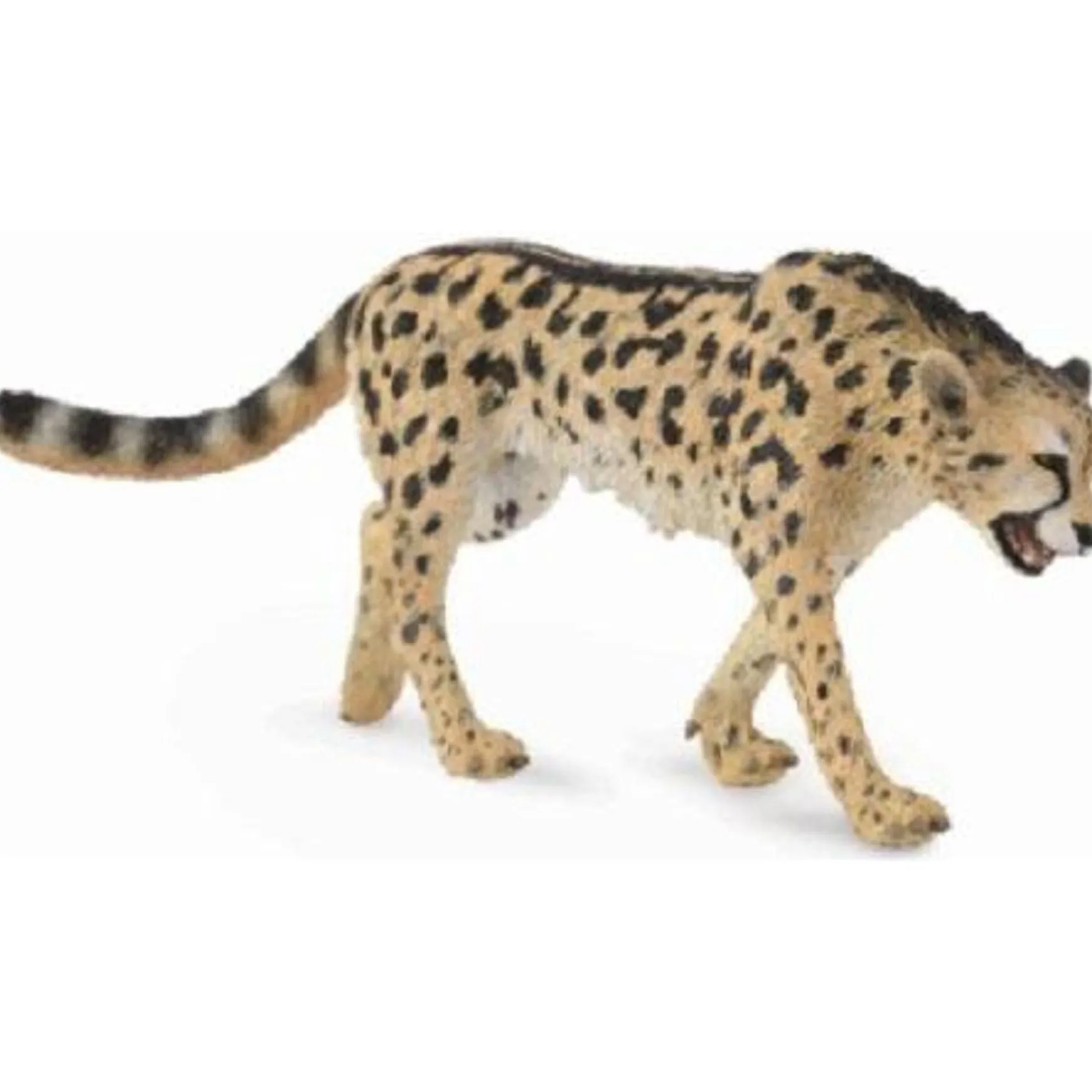 CollectA | King Cheetah (L)