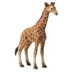 CollectA | Reticulated Giraffe Calf (L)