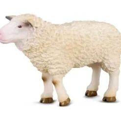 CollectA | Sheep (M)