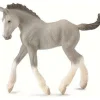 CollectA | Shire Horse Foal (Grey) (M)