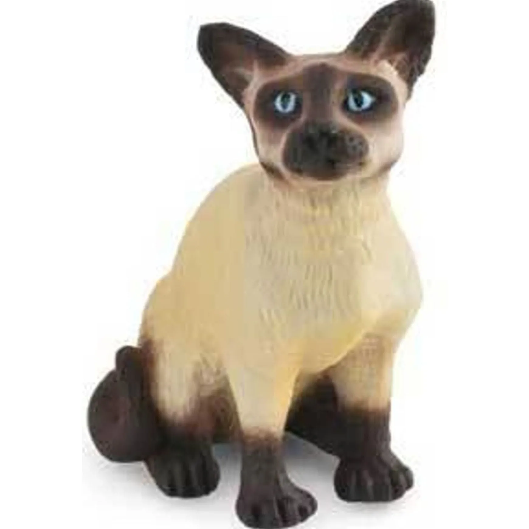 CollectA | Siamese Cat Sitting (S)