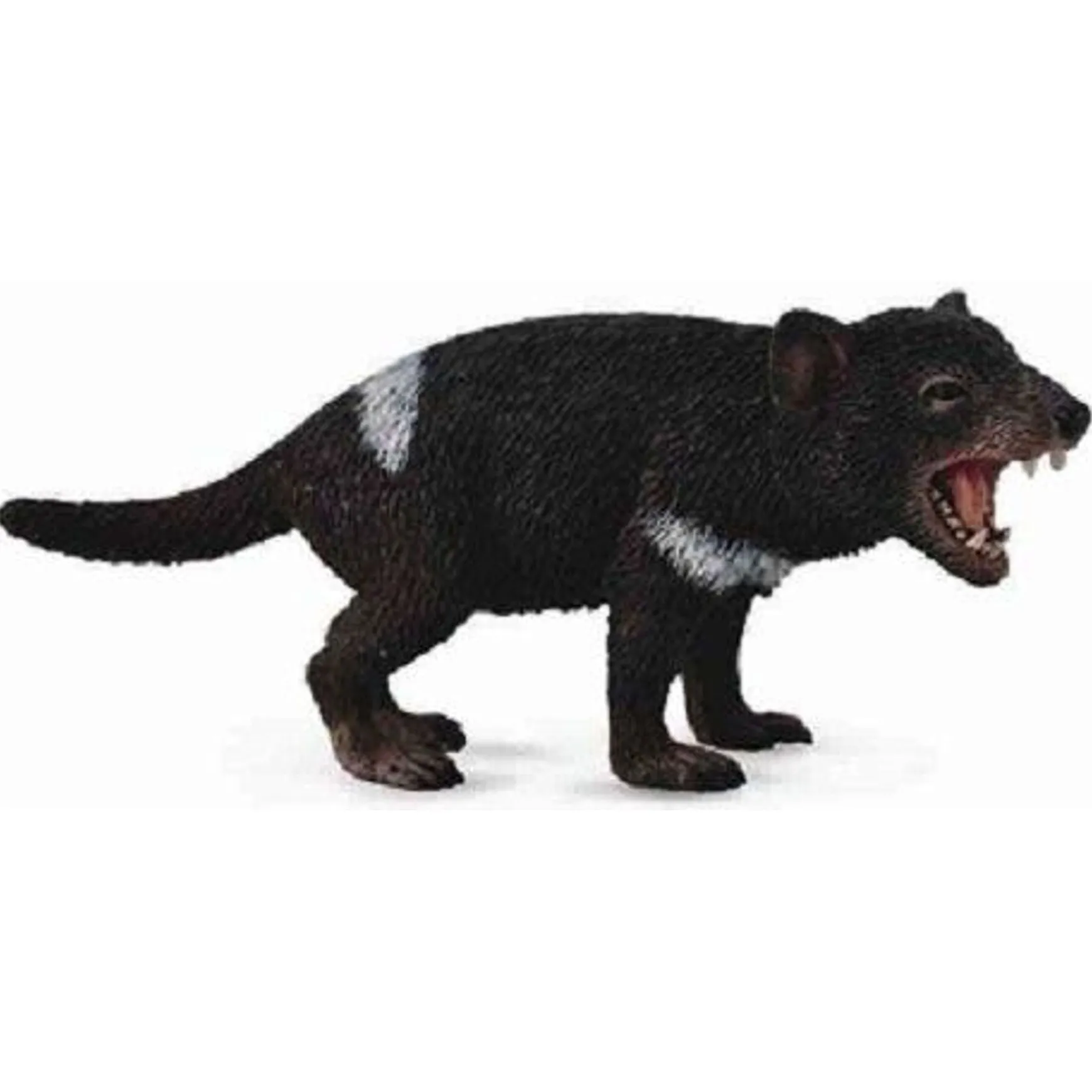 CollectA | Tasmanian Devil (M)