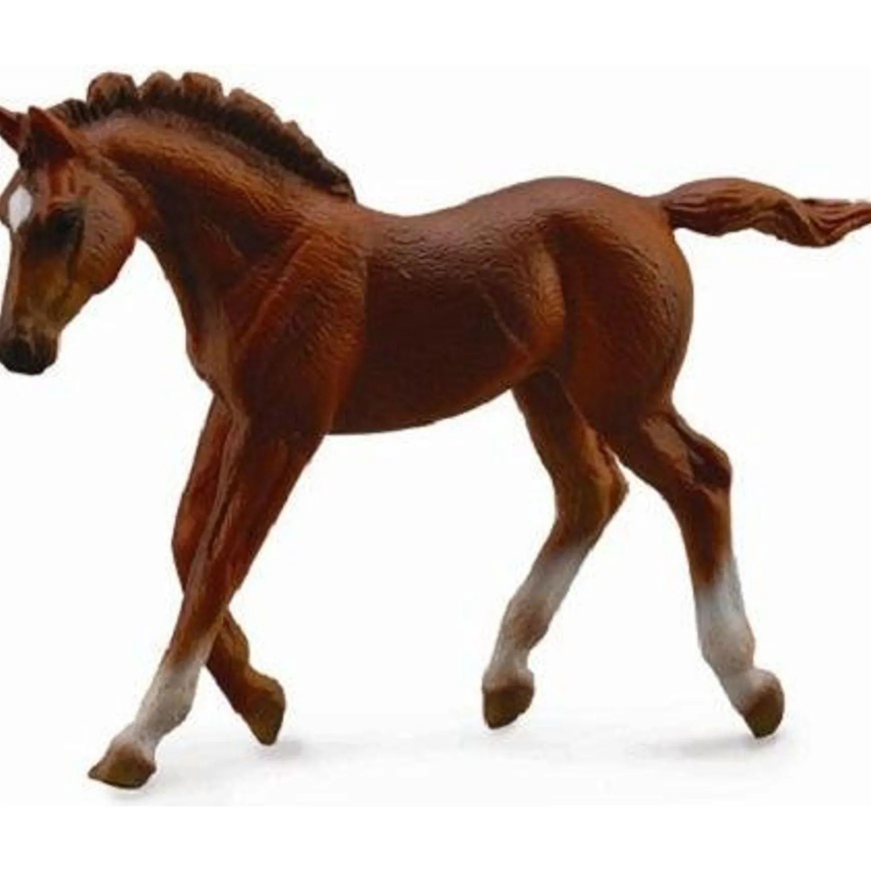 CollectA | Thoroughbred Foal Walk - Chestnut (M)