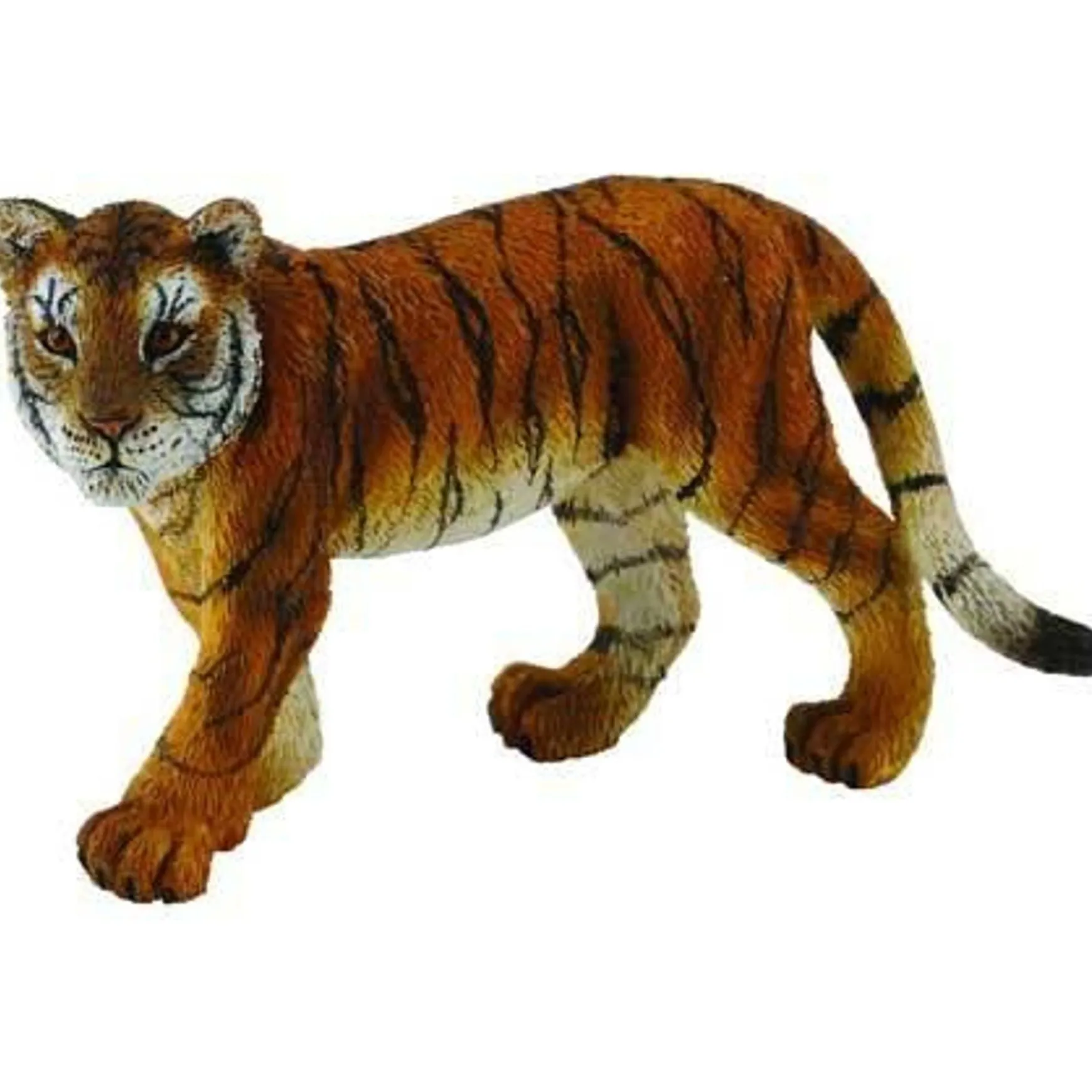 CollectA | Tiger Cub Walking (M)