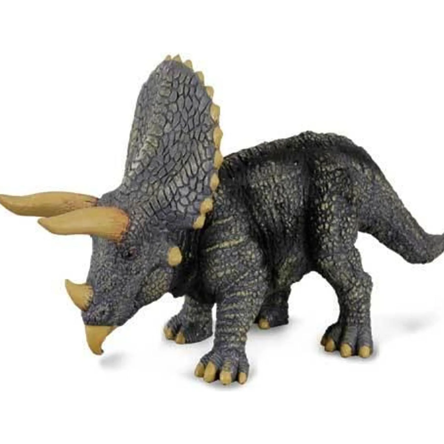 CollectA | Triceratops (L)