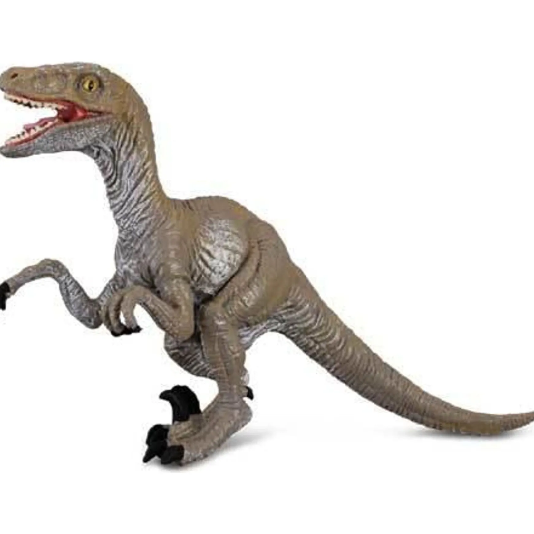 CollectA | Velociraptor (M)