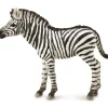 CollectA | Zebra Foal (M)