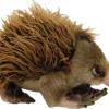 Echidna Ganyi