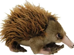 Echidna Ganyi