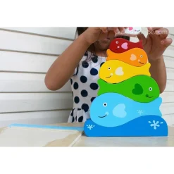 Fish Stacker Puzzle