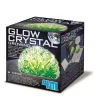 Glow Crystal Growing Kit