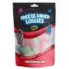 Heebie Jeebies | Freeze Dried Sour Watermelon Lollies | Large