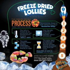 Heebie Jeebies | Freeze Dried Gummy Pizza Lollies | Large