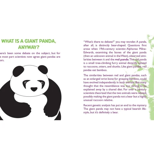 Hug a Panda Kit