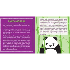 Hug a Panda Kit