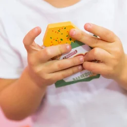 Iconic Toy - Arnott's Shapes