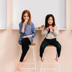 Iconic Toy - Australian Arnott's Bickies