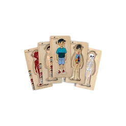 5 Layer Body Puzzle - Boy