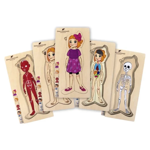 5 Layer Body Puzzle - Girl
