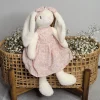 Lily the Rabbit