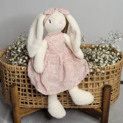 Lily the Rabbit