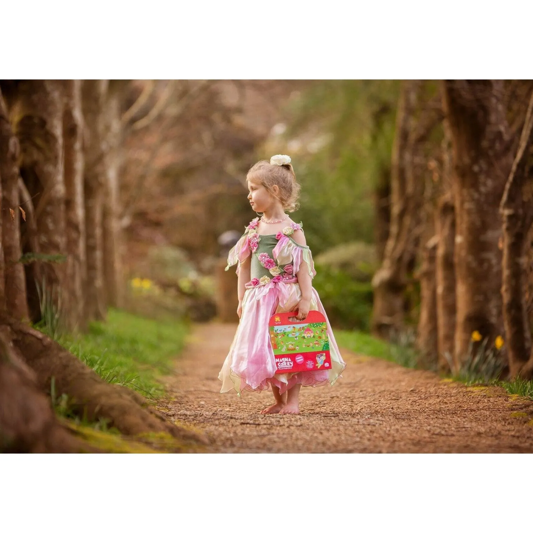 Magna carry forest fairies