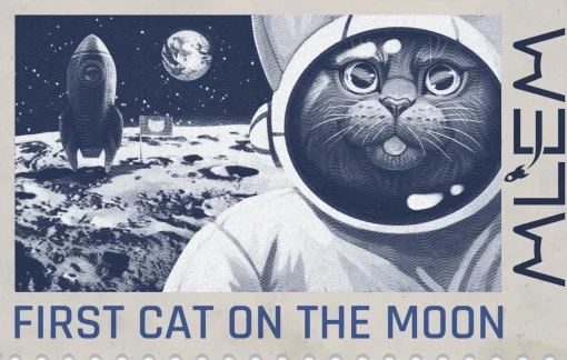 MLEM Space Agency