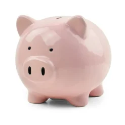Money Box - Save Money