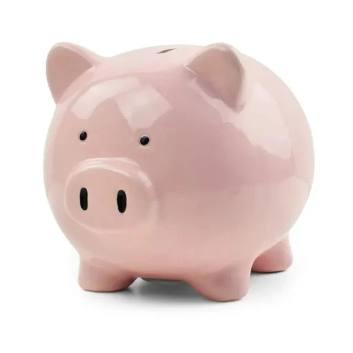 Money Box - Save Money