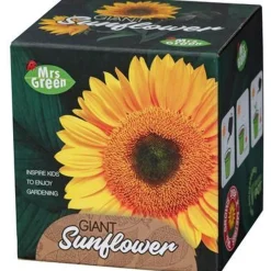 Mrs Greens | Giant Sunflower Growing Kit