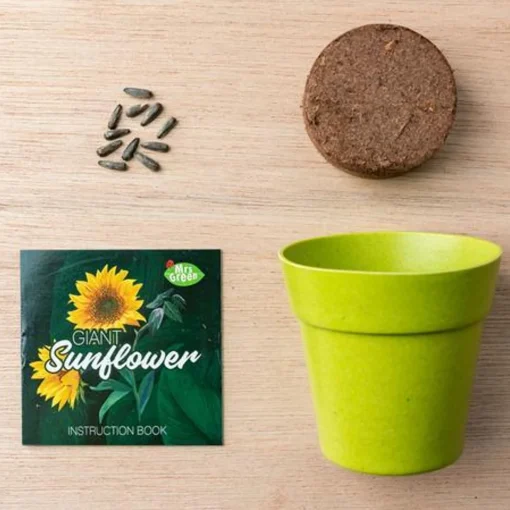 Mrs Greens | Giant Sunflower Growing Kit