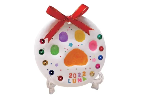 Pet Paw Print Kit