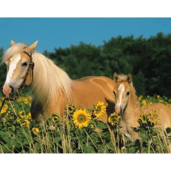 Ravensburger - Horse Happiness 200 Piece Puzzle