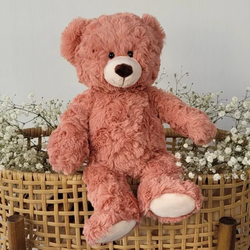 Rusty the Bear
