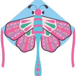 Single Line Kite: Beautiful Butterfly
