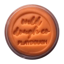 Wild Dough Playdough - Brights
