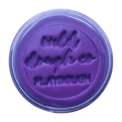 Wild Dough Playdough - Brights